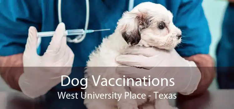 Dog Vaccinations West University Place - Texas