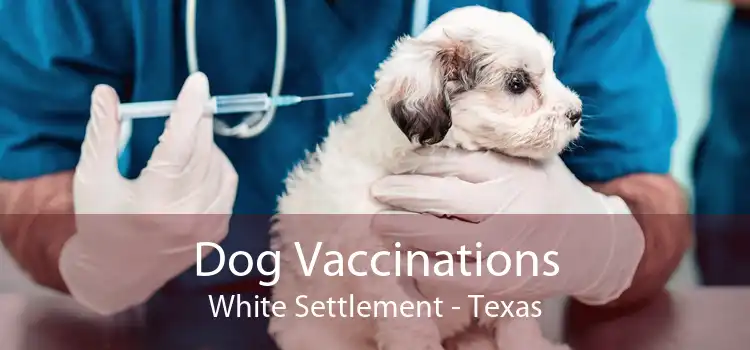 Dog Vaccinations White Settlement - Texas
