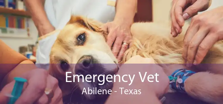 Emergency Vet Abilene - Texas