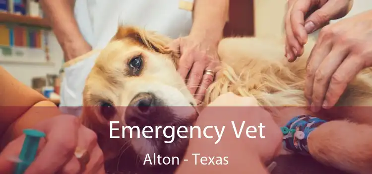 Emergency Vet Alton - Texas