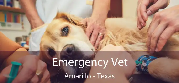 Emergency Vet Amarillo - Texas