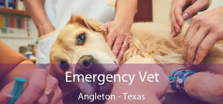 Emergency Vet Angleton - Texas