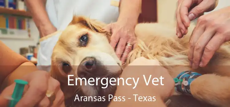 Emergency Vet Aransas Pass - Texas