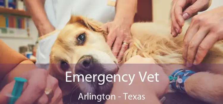 Emergency Vet Arlington - Texas