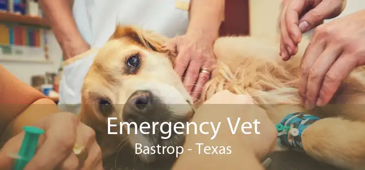 Emergency Vet Bastrop - Texas