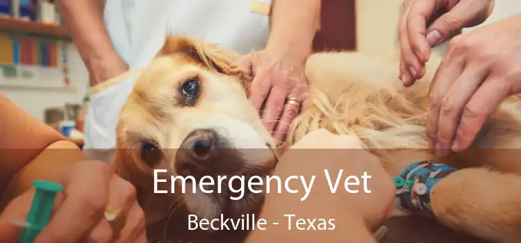 Emergency Vet Beckville - Texas