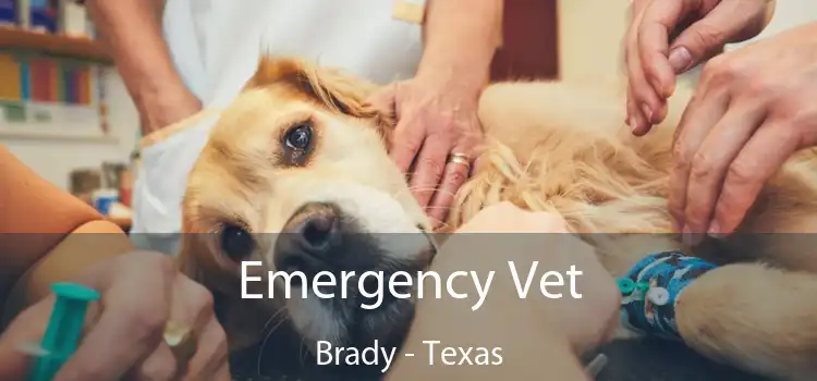 Emergency Vet Brady - Texas