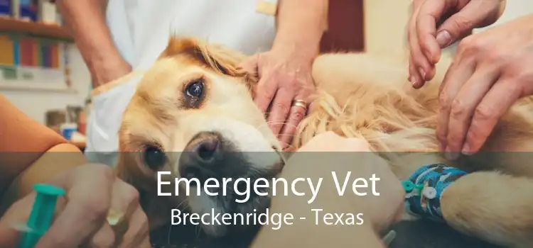 Emergency Vet Breckenridge - Texas