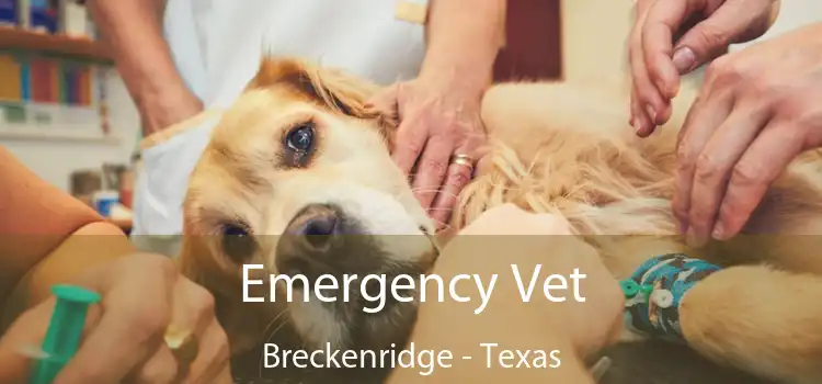 Emergency Vet Breckenridge - Texas