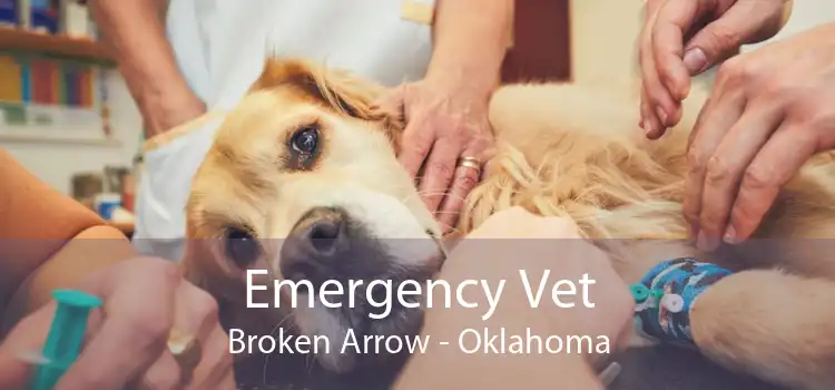Emergency Vet Broken Arrow - Oklahoma