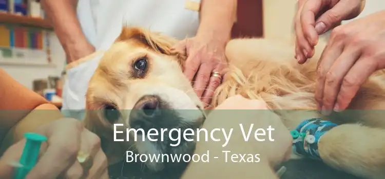 Emergency Vet Brownwood - Texas