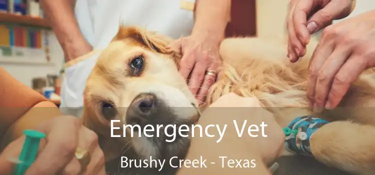 Emergency Vet Brushy Creek - Texas