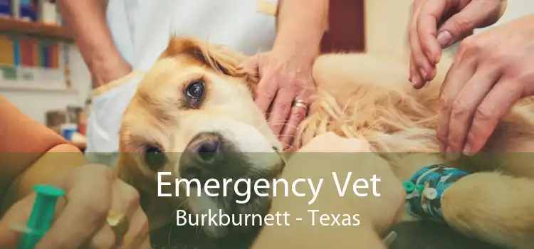 Emergency Vet Burkburnett - Texas