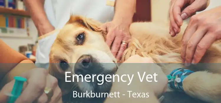 Emergency Vet Burkburnett - Texas