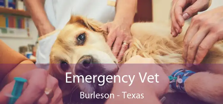 Emergency Vet Burleson - Texas