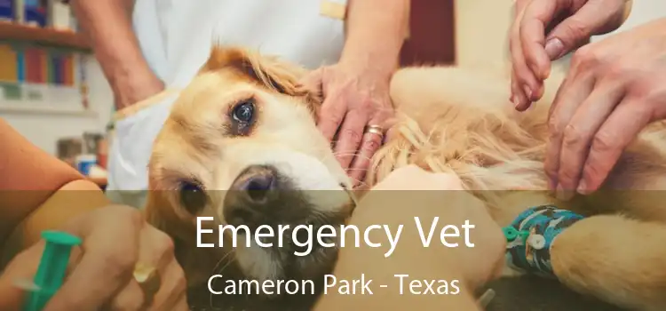 Emergency Vet Cameron Park - Texas