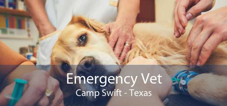 Emergency Vet Camp Swift - Texas