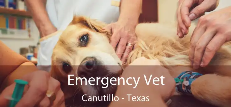 Emergency Vet Canutillo - Texas