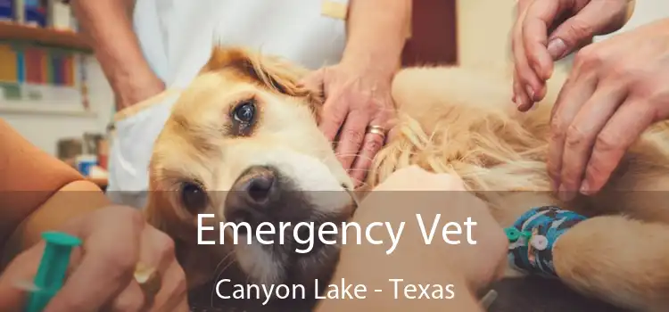 Emergency Vet Canyon Lake - Texas