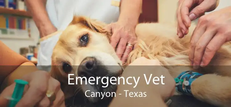 Emergency Vet Canyon - Texas