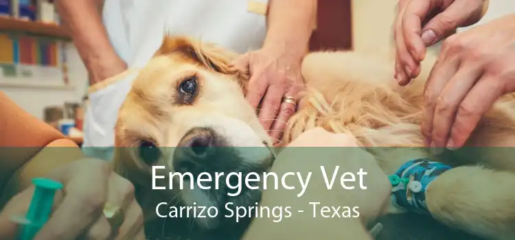 Emergency Vet Carrizo Springs - Texas