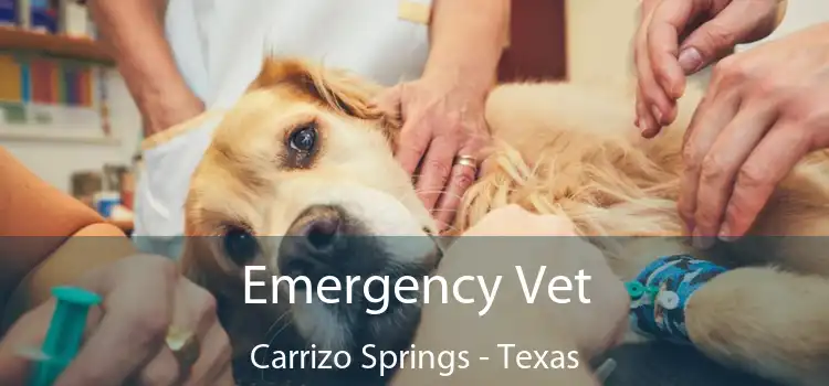 Emergency Vet Carrizo Springs - Texas