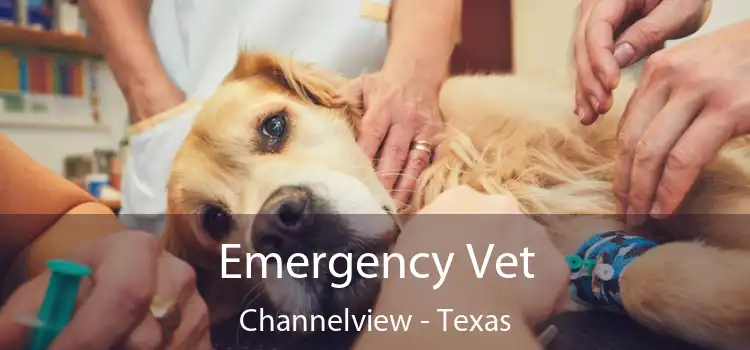 Emergency Vet Channelview - Texas