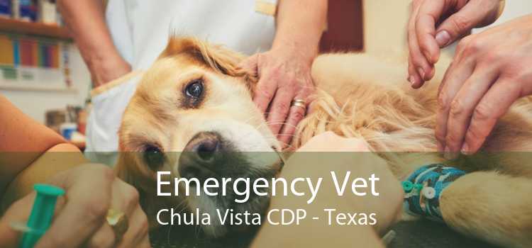 Emergency Vet Chula Vista CDP - Texas