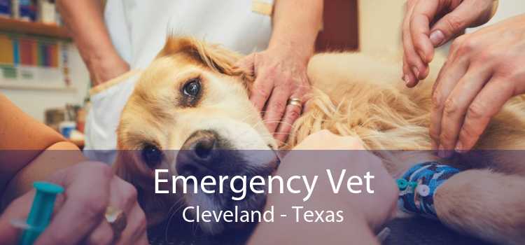 Emergency Vet Cleveland - Texas