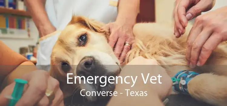 Emergency Vet Converse - Texas