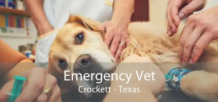 Emergency Vet Crockett - Texas