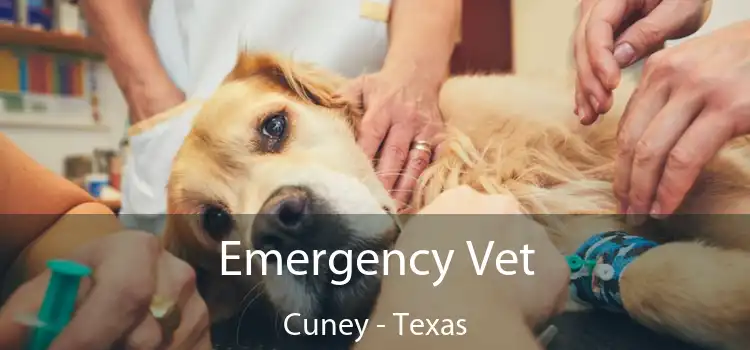 Emergency Vet Cuney - Texas