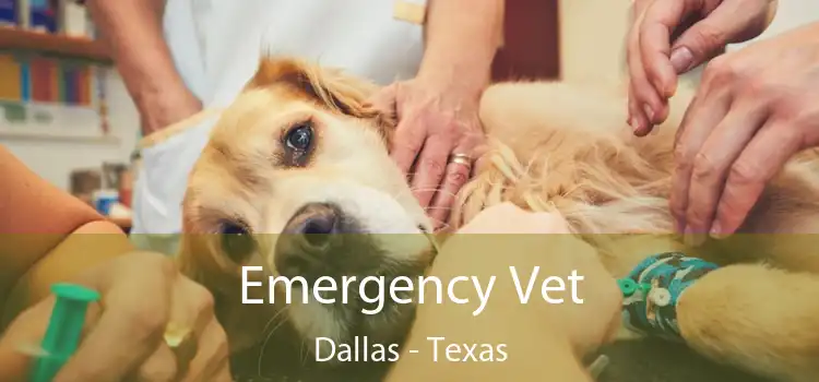 Emergency Vet Dallas - Texas