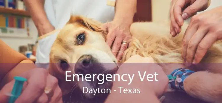 Emergency Vet Dayton - Texas