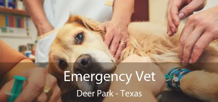 Emergency Vet Deer Park - Texas