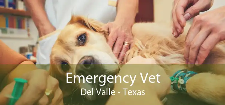 Emergency Vet Del Valle - Texas
