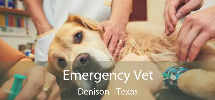 Emergency Vet Denison - Texas