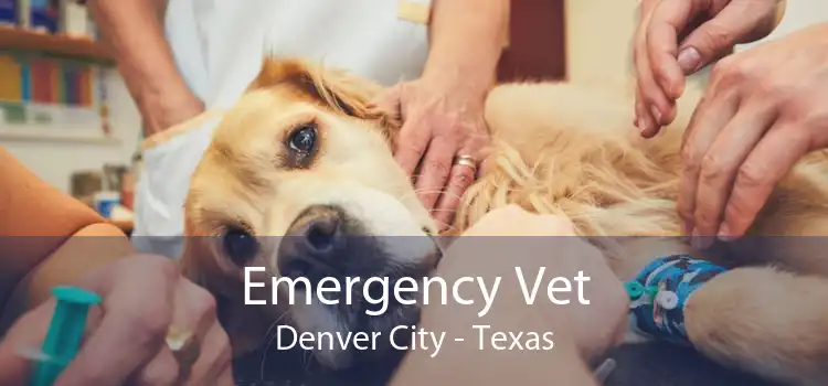 Emergency Vet Denver City - Texas