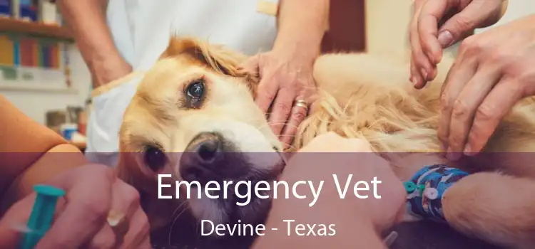 Emergency Vet Devine - Texas