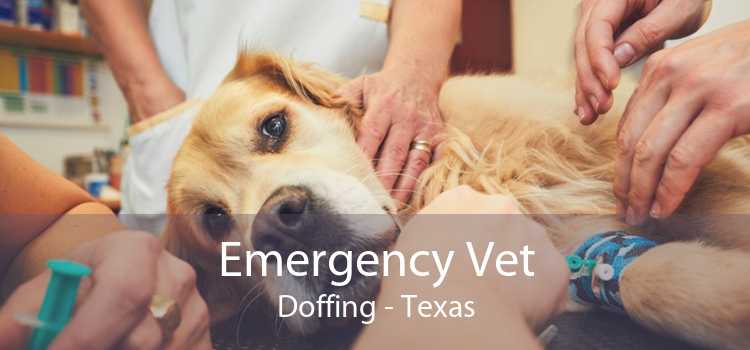 Emergency Vet Doffing - Texas