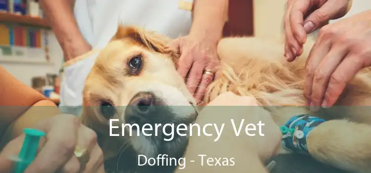 Emergency Vet Doffing - Texas