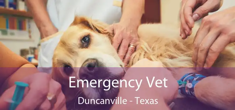 Emergency Vet Duncanville - Texas