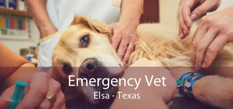 Emergency Vet Elsa - Texas