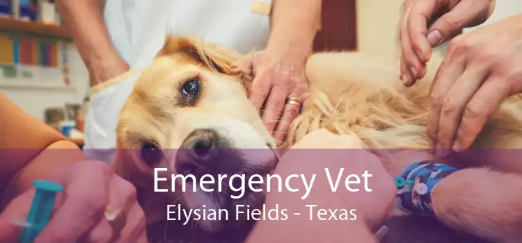 Emergency Vet Elysian Fields - Texas