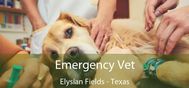 Emergency Vet Elysian Fields - Texas