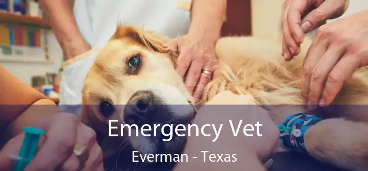 Emergency Vet Everman - Texas