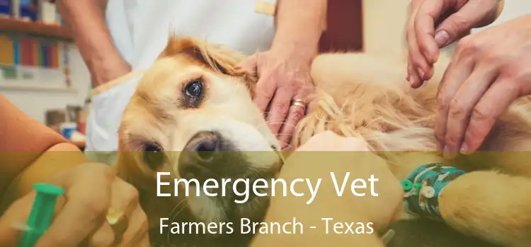 Emergency Vet Farmers Branch - Texas