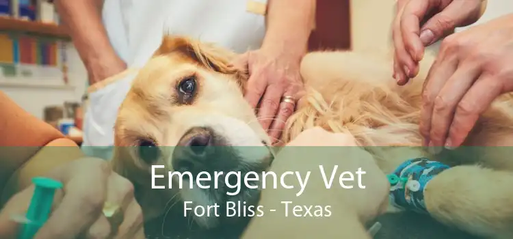 Emergency Vet Fort Bliss - Texas