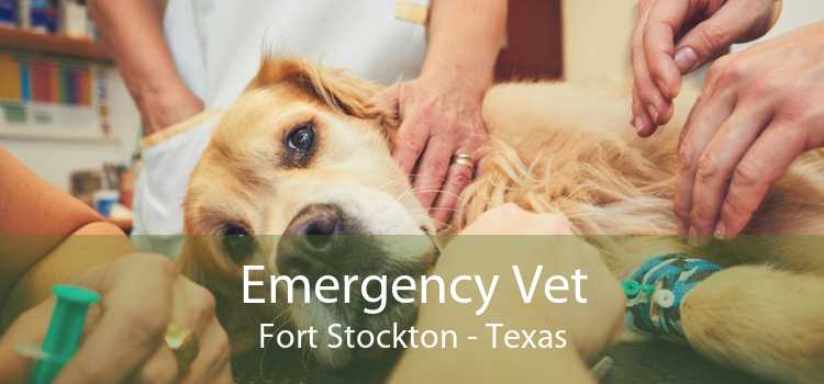 Emergency Vet Fort Stockton - Texas