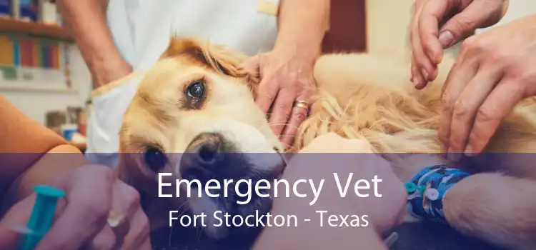 Emergency Vet Fort Stockton - Texas